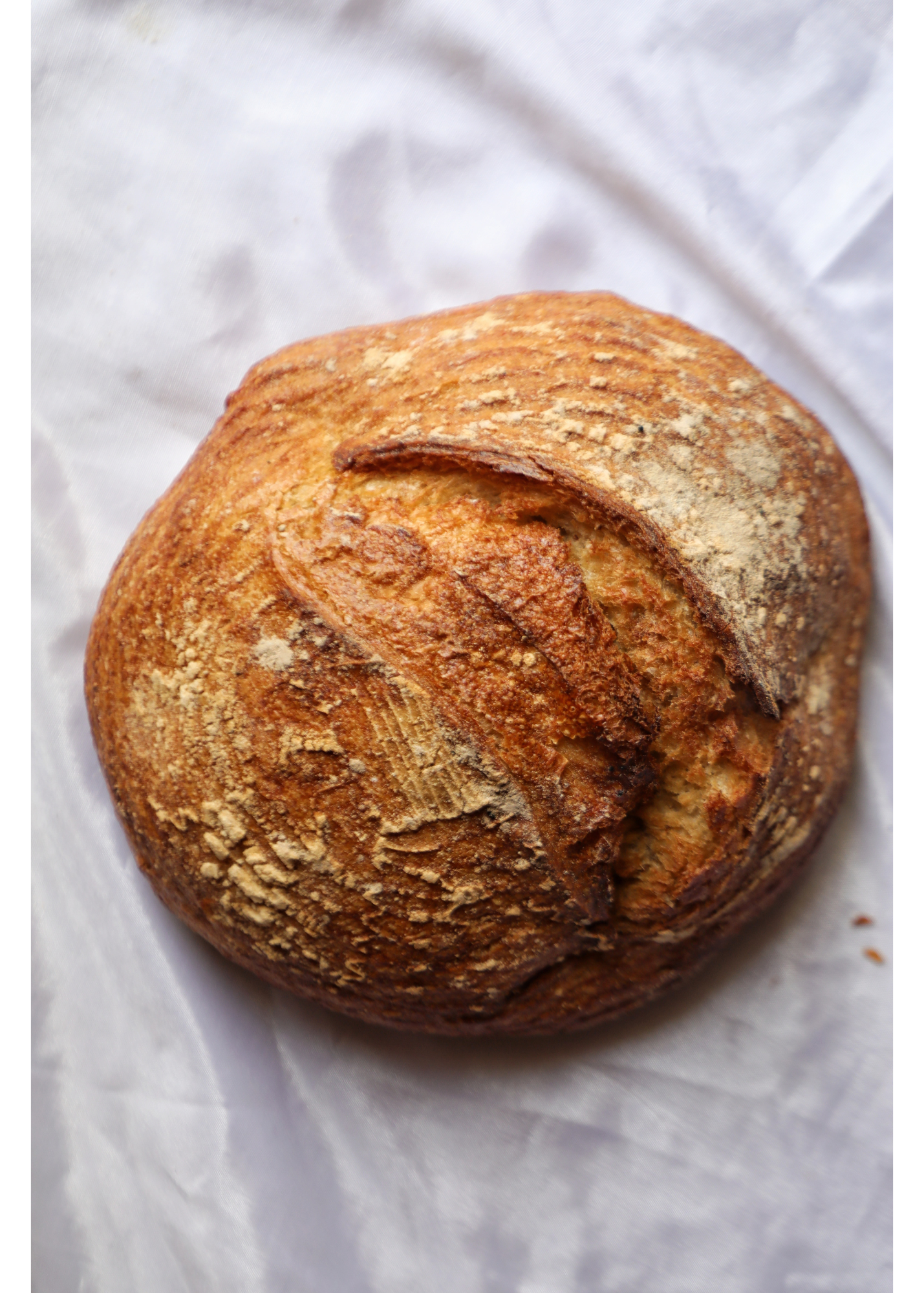 Fresh Baked Sourdough Loaf