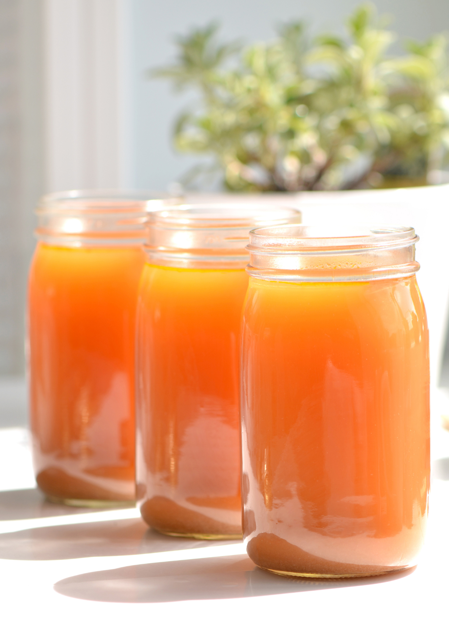 Broth Bundle